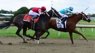 Suspendido por 8 años entrenador campeón en Estados Unidos Suspendido por 8 años entrenador campeón en Estados Unidos