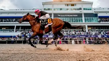 Jinete que hizo campaña en Venezuela en el 2023 monta este fin de semana en Estados Unidos Jinete que hizo campaña en Venezuela en el 2023 monta este fin de semana en Estados Unidos