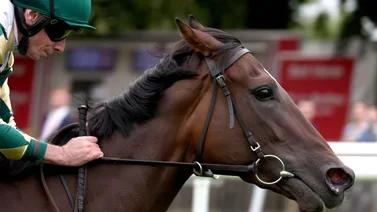 El ranking del mejor jockey del mundo cambió y aquí te contamos quién es el nuevo líder