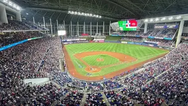 Conoce los equipos de República Dominicana, Puerto Rico y Venezuela que estarán jugando en Miami Conoce los equipos de República Dominicana, Puerto Rico y Venezuela que estarán jugando en Miami