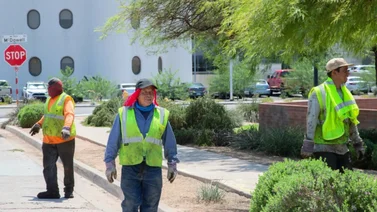 ¿Cuánto es el salario mínimo en la ciudad de Arizona?