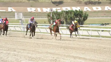 Conoce como ajustó este ejemplar que es gran favorito en las no válidas del domingo en La Rinconada Conoce como ajustó este ejemplar que es gran favorito en las no válidas del domingo en La Rinconada