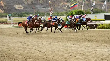 Así fue el ajuste de la línea de Gaceta Hípica del domingo en La Rinconada Así fue el ajuste de la línea de Gaceta Hípica del domingo en La Rinconada