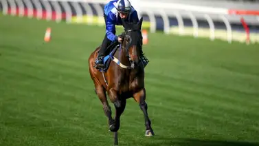 Medio hermana de campeona ganadora de 25 Grado 1 debuta en este hipódromo Medio hermana de campeona ganadora de 25 Grado 1 debuta en este hipódromo