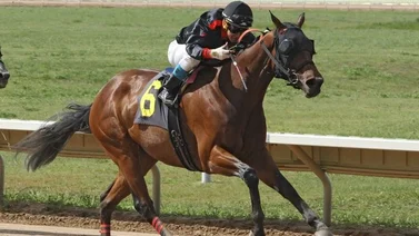 Jockey venezolano vuelve a ganar y está entre los 10 mejores en este hipódromo