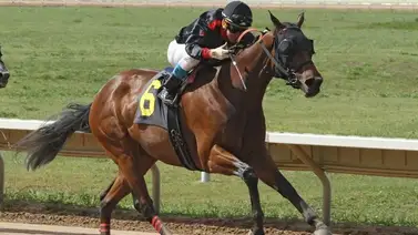 Jockey venezolano vuelve a ganar y está entre los 10 mejores en este hipódromo Jockey venezolano vuelve a ganar y está entre los 10 mejores en este hipódromo