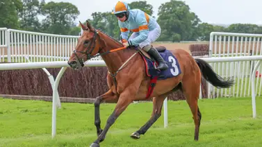 Caballo favorito desprendido salta hacia la baranda en los 50 metros finales (+video) Caballo favorito desprendido salta hacia la baranda en los 50 metros finales (+video)