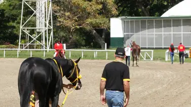 Se registra un nuevo retiro importante para la reunión 28 de este domingo en la Rinconada Se registra un nuevo retiro importante para la reunión 28 de este domingo en la Rinconada