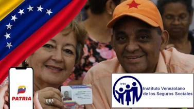 IVSS Agosto 