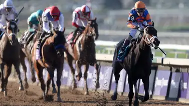 Mira lo que le sucedió a Fierceness el mejor potro de 2023 en Estados Unidos Mira lo que le sucedió a Fierceness el mejor potro de 2023 en Estados Unidos