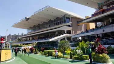 Muere ex-jinete y entrenador de purasangres en Venezuela Muere ex-jinete y entrenador de purasangres en Venezuela