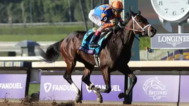 ¿Porque Fierceness corre una buena y una mala? Su propietario Mike Repole explica la razón ¿Porque Fierceness corre una buena y una mala? Su propietario Mike Repole explica la razón