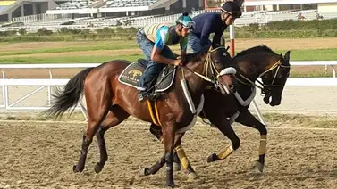Jockey venezolano gana su primera del año con su sexta monta en Estados Unidos Jockey venezolano gana su primera del año con su sexta monta en Estados Unidos
