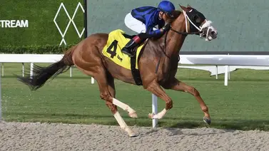Así quedaron los resultados en las carreras Gulfstream Park 20-07-2024 Así quedaron los resultados en las carreras Gulfstream Park 20-07-2024
