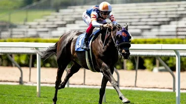 Potra invicta se lleva el primer stakes de grado en Delmar