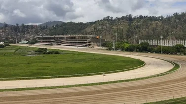 Esta semana no habrá reunión hípica de carreras en Venezuela
