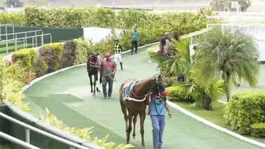 Comisarios abren averiguación administrativa a estos profesionales en La Rinconada Comisarios abren averiguación administrativa a estos profesionales en La Rinconada