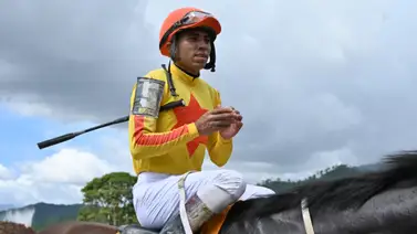 Mira lo que informó a los comisarios Robert Capriles sobre el ejemplar Gerseb Mira lo que informó a los comisarios Robert Capriles sobre el ejemplar Gerseb