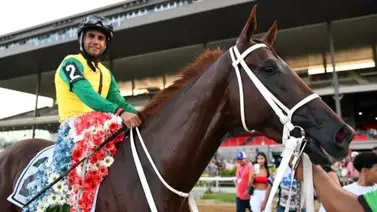 Conspirador ganó el último paso de la triple corona en Puerto Rico Conspirador ganó el último paso de la triple corona en Puerto Rico