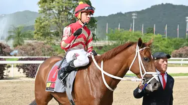 Franklin Puello Jr. mantiene el liderato del segundo meeting de jinetes en La Rinconada Franklin Puello Jr. mantiene el liderato del segundo meeting de jinetes en La Rinconada