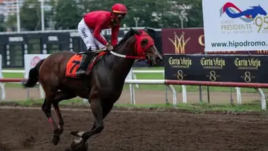 Eagle in Love se lleva el Clásico Presidente de la República en Panamá Eagle in Love se lleva el Clásico Presidente de la República en Panamá