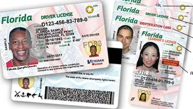 Departamento de Seguridad Vial y Vehículos Motorizados de Florida (FLHSMV)  Departamento de Seguridad Vial y Vehículos Motorizados de Florida (FLHSMV)
