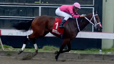 Entrenador venezolano hace historia en el hipismo de República Dominicana Entrenador venezolano hace historia en el hipismo de República Dominicana
