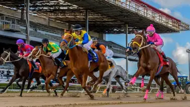 En peligro la industria hípica y la crianza de caballos de carreras en Puerto Rico En peligro la industria hípica y la crianza de caballos de carreras en Puerto Rico