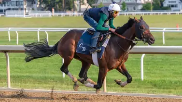 Sierra Leone, Fierceness y Seize the Grey se enfrentan esta semana Sierra Leone, Fierceness y Seize the Grey se enfrentan esta semana
