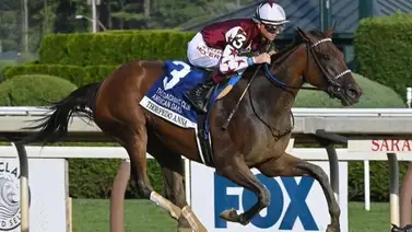 Thorpedo Anna es la quinta potra que logra esta hazaña en 44 años en Estados Unidos Thorpedo Anna es la quinta potra que logra esta hazaña en 44 años en Estados Unidos