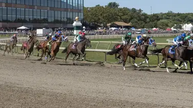 Entrenador culpa a su esposa por dopaje de sus caballos Entrenador culpa a su esposa por dopaje de sus caballos