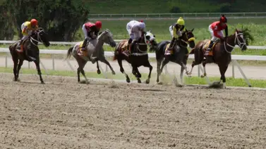 Luego de cuatro años vuelve a suceder este hecho en La Rinconada Luego de cuatro años vuelve a suceder este hecho en La Rinconada