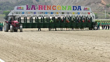 Así va la estadística de Haras en el hipódromo La Rinconada