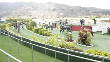 Estos son los entrenadores que le quitaron la matrícula en La Rinconada Estos son los entrenadores que le quitaron la matrícula en La Rinconada