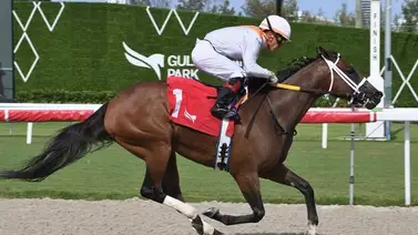 Jockeys venezolanos ganan la mitad de las carreras del domingo en Gulfstream Park Jockeys venezolanos ganan la mitad de las carreras del domingo en Gulfstream Park