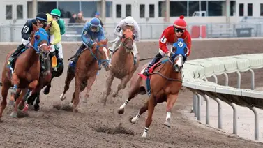 Estos son los jockeys venezolanos que más dinero han ganado en el 2024 Estos son los jockeys venezolanos que más dinero han ganado en el 2024