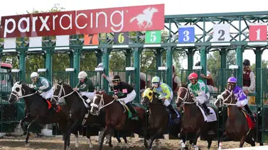 Mychel Sánchez gana este martes y se acerca a cifras grandes en Estados Unidos Mychel Sánchez gana este martes y se acerca a cifras grandes en Estados Unidos