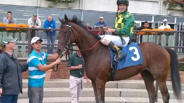 Mira lo que le sucedió a la yegua madre de Mage y Dornoch Mira lo que le sucedió a la yegua madre de Mage y Dornoch