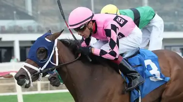 Jockey venezolano gana 4 de 6 montas y llega a 100 victorias este año en este hipódromo Jockey venezolano gana 4 de 6 montas y llega a 100 victorias este año en este hipódromo