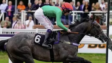 Irad Ortiz Jr. el campeón boricua va por 3 stakes de Grado esta semana Irad Ortiz Jr. el campeón boricua va por 3 stakes de Grado esta semana