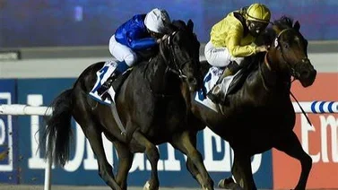 Dos de los 4 mejores caballos del mundo se enfrentan esta semana