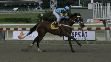 Conoce la causa por la cual Emisael Jaramillo pensó en el retiro Conoce la causa por la cual Emisael Jaramillo pensó en el retiro