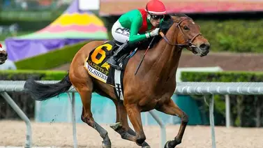 Más de $4.296.000 se gastaron en esta subasta digital en Estados Unidos Más de $4.296.000 se gastaron en esta subasta digital en Estados Unidos