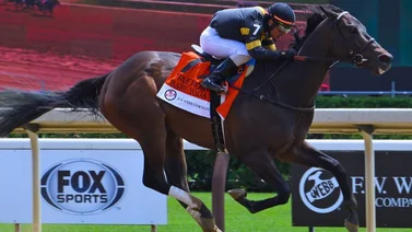 El duelo de los sprinters es este sábado en el Alfred Vanderbilt H. (G1) de Saratoga