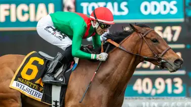 Yegua ganadora clásica es el ejemplar más caro de las subastas digitales de julio Yegua ganadora clásica es el ejemplar más caro de las subastas digitales de julio