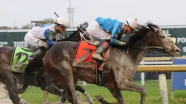 Encuentran dispositivos eléctricos y drogas a un propietario de caballos y jinete en Park Racing
