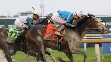 Encuentran dispositivos eléctricos y drogas a un propietario de caballos y jinete en Park Racing