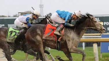 Encuentran dispositivos eléctricos y drogas a un propietario de caballos y jinete en Park Racing Encuentran dispositivos eléctricos y drogas a un propietario de caballos y jinete en Park Racing