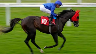 Hijo de Justify que costó $2.477.400 debuta de manera impresionante en Inglaterra Hijo de Justify que costó $2.477.400 debuta de manera impresionante en Inglaterra