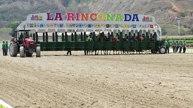 Estos son los potenciales clásicos que se van a correr en la reunión 29 de La Rinconada